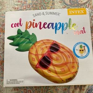 Brand new never opened pineapple pool float